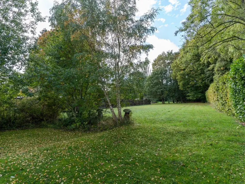The garden, before the work started